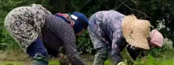 image_2023-06-01_00-40-56